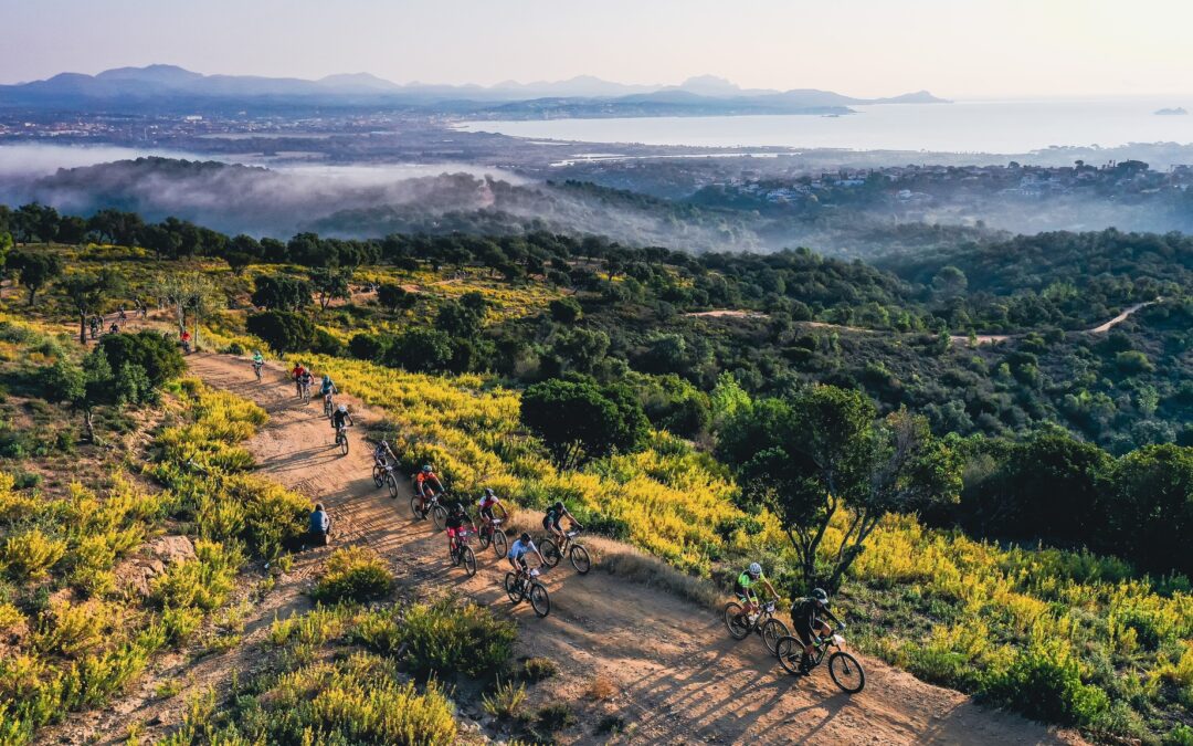 Live Roc d’Azur 2025